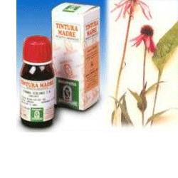 ECHINACEA 59 50ML TM - Pharmaleader