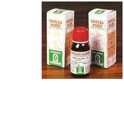 ERISIMO 61 50ML TM - Pharmaleader