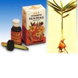 ZENZERO OLIO ESSENZIALE PURO 10 ML - Pharmaleader