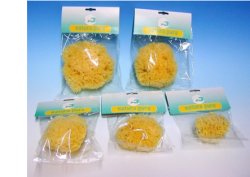 NATURA PURA SPUGNA NATURALE 16 BUSTE - Pharmaleader