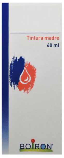 THUYA OCCIDENTALIS TINTURA MADRE 60 ML - Pharmaleader