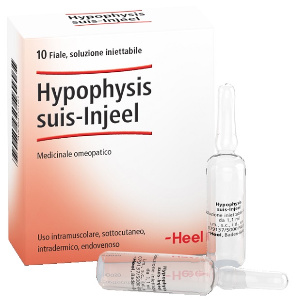 HEEL HYPOPHYSIS SUIS INJEEL 10 FIALE - Pharmaleader