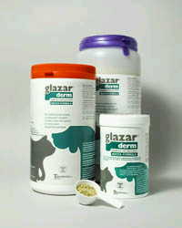 GLAZARDERM FLACONE 500 G - Pharmaleader