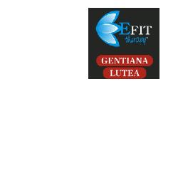 GENTIANA LUTEA ESTRATTO FLUIDO 30 ML - Pharmaleader