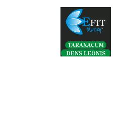 TARAXACUM DENS LEO ESTRATTO FLUIDO 30 ML - Pharmaleader