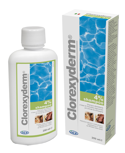 CLOREXYDERM SHAMPOO 4% 250 ML - Pharmaleader