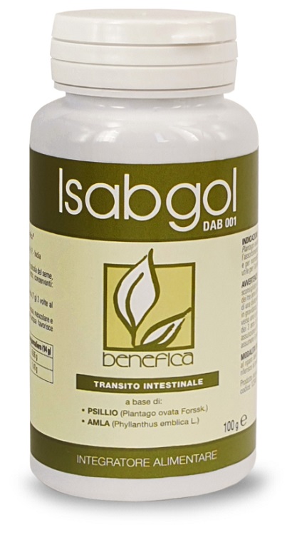 DAB 001 ISABGOL 100 G - Pharmaleader