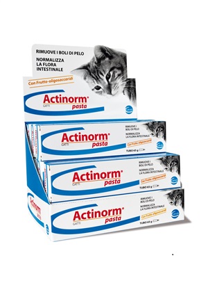 ACTINORM PASTA GATTI 65 G - Pharmaleader