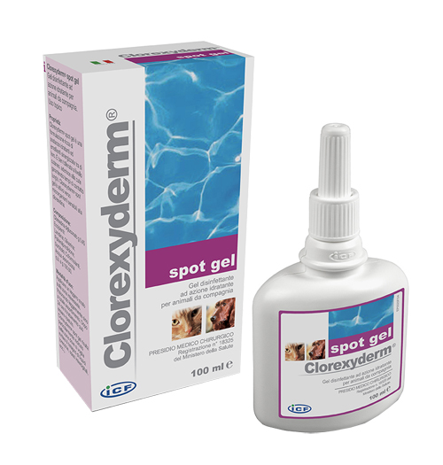 CLOREXYDERM SPOT GEL 100 ML - Pharmaleader