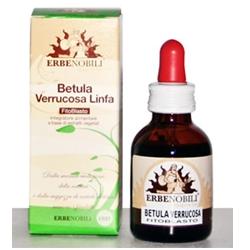 FITOBLASTO BETULLA VERRUCOSA LINFA 50 ML - Pharmaleader