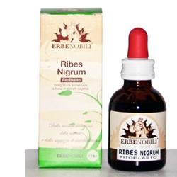 FITOBLASTO RIBES NIGRUM 50 ML - Pharmaleader