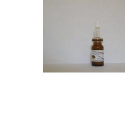 SIDEA STAMINALI UVA SIERO CONCENTRATO 10 ML - Pharmaleader