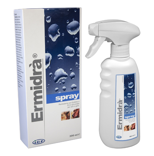 ERMIDRA' SPRAY 300 ML - Pharmaleader