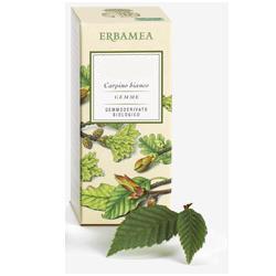 BETULA VERRUCOSA LINFA GEMMODERIVATO BIO 50 ML - Pharmaleader