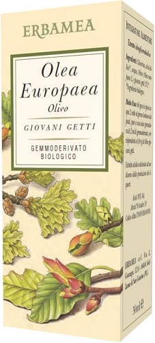 OLEA EUROPEA OLIVO BIO 50 ML - Pharmaleader
