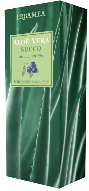 ALOE VERA SUCCO MIRTILLO 500 ML - Pharmaleader