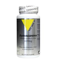 VITAL PLUS ASHWAGANDHA 60 CAPSULE - Pharmaleader