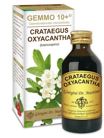 GEMMO 10+ BIANCOSPINO LIQUIDO ANALCOLICO 100 ML - Pharmaleader