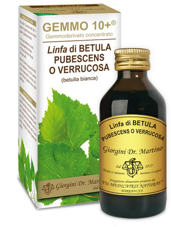GEMMO 10+ BETULLA B LINFA 100 ML LIQUIDO ANALCOLICO - Pharmaleader