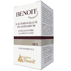 BENOIT LACTOBACILLUS PLANTHARUM 30 CAPSULE - Pharmaleader