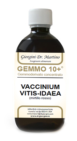 GEMMO 10+ MIRTILLO ROSSO LIQUIDO ANALCOLICO 500 ML - Pharmaleader