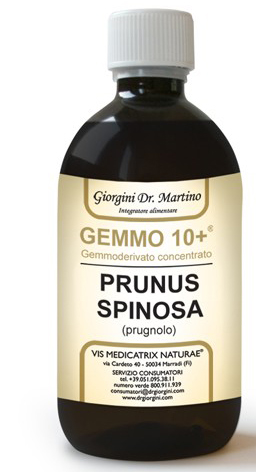 GEMMO 10+ PRUGNOLO 500 ML LIQUIDO ANALCOLICO - Pharmaleader