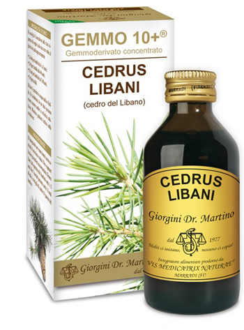 GEMMO 10+ CEDRO DEL LIBANO 100 ML LIQUIDO ANALCOLICO - Pharmaleader