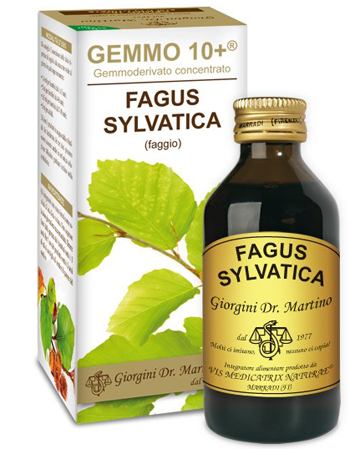 GEMMO 10+ FAGGIO 100 ML LIQUIDO ANALCOLICO - Pharmaleader