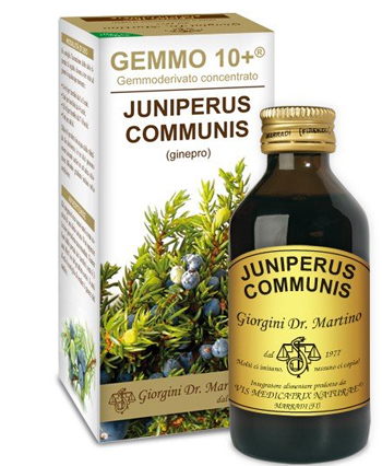 GEMMO 10+ GINEPRO 100 ML LIQUIDO ANALCOLICO - Pharmaleader