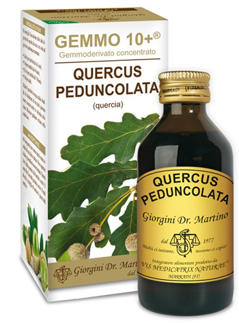 GEMMO 10+ QUERCIA 100 ML LIQUIDO ANALCOLICO - Pharmaleader