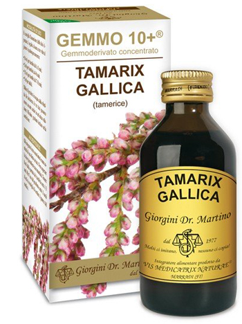 GEMMO 10+ TAMERICE 100 ML LIQUIDO ANALCOLICO - Pharmaleader