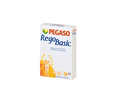 REGOBASIC 12 BUSTINE POLVERE - Pharmaleader