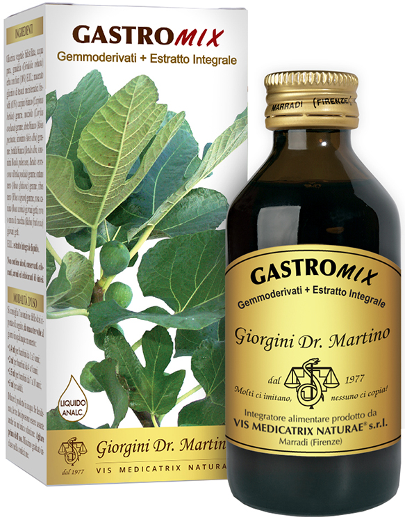 GASTROMIX LIQUIDO ANALCOLICO 100 ML - Pharmaleader