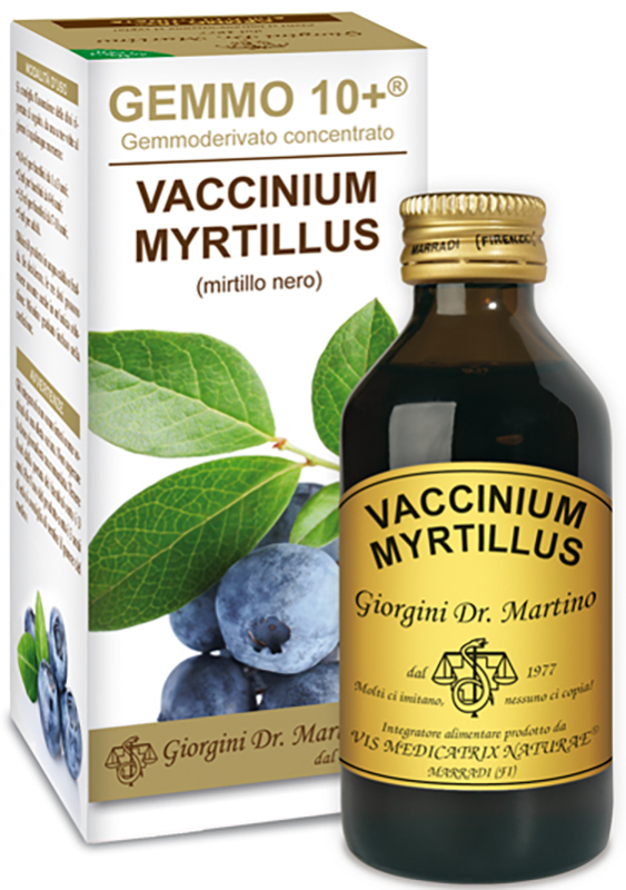 GEMMO 10+ GEMMODERIVATO CONCENTRATO VACCINIUM MYRTILLUS MIRTILLO NERO SENZA ALCOOL 100 ML - Pharmaleader