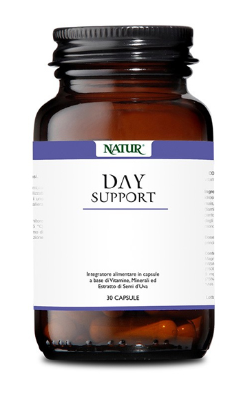 DAY SUPPORT 30 CAPSULE - Pharmaleader