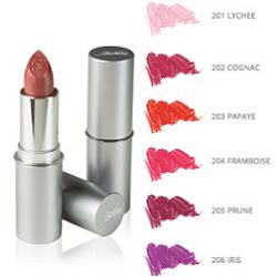 DEFENCE COLOR BIONIKE ROSSETTO SEMITRASPARENTE LIPSHINE 205 PRUNE - Pharmaleader
