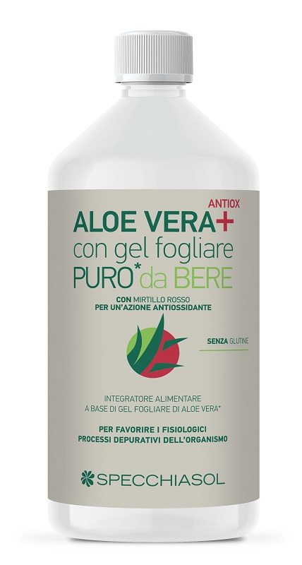 SUCCO ALOEVERA+ ALOE/MIRTILLO ROSSO 1 LITRO - Pharmaleader