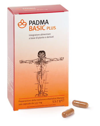 PADMA BASIC PLUS 100 CAPSULE - Pharmaleader