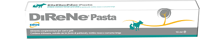 DIRENE PASTA 15 ML - Pharmaleader