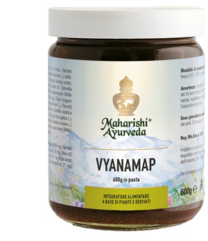 VYANAMAP PASTA 600 G - Pharmaleader