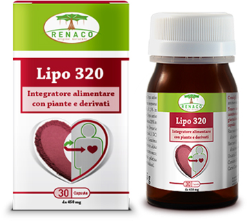 LIPO 320 30 CAPSULE - Pharmaleader