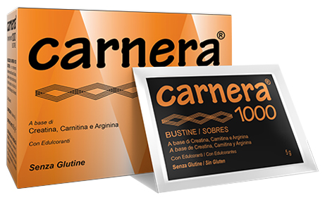 CARNERA 1000 18 BUSTINE - Pharmaleader