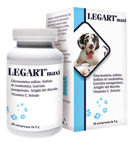 LEGART MAXI 60 COMPRESSE 2 G - Pharmaleader
