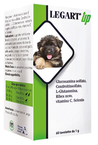LEGART UP 60 COMPRESSE DA 1 G - Pharmaleader