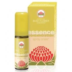 CONCENTRATION SPRAY ORALE 20 ML - Pharmaleader