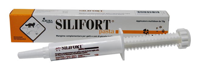 SILIFORT PASTA OS SIRINGA 15 G - Pharmaleader