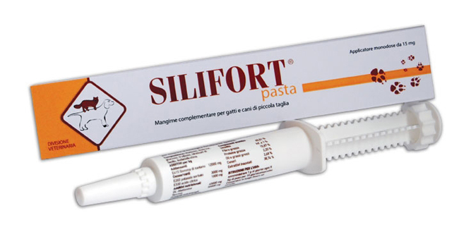 SILIFORT PASTA OS SIRINGA 30 G - Pharmaleader