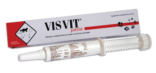VISVIT PASTA OS SIRINGA 15 G - Pharmaleader