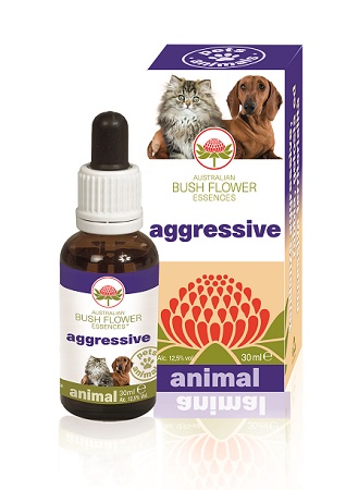 AGGRESSIVE 30 ML - Pharmaleader