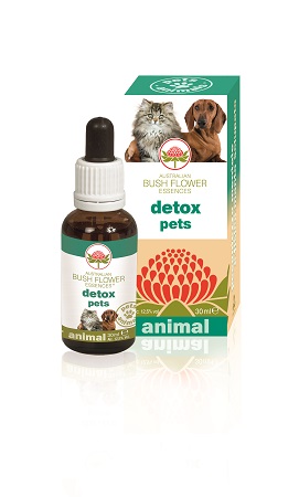 DETOX PETS 30 ML - Pharmaleader